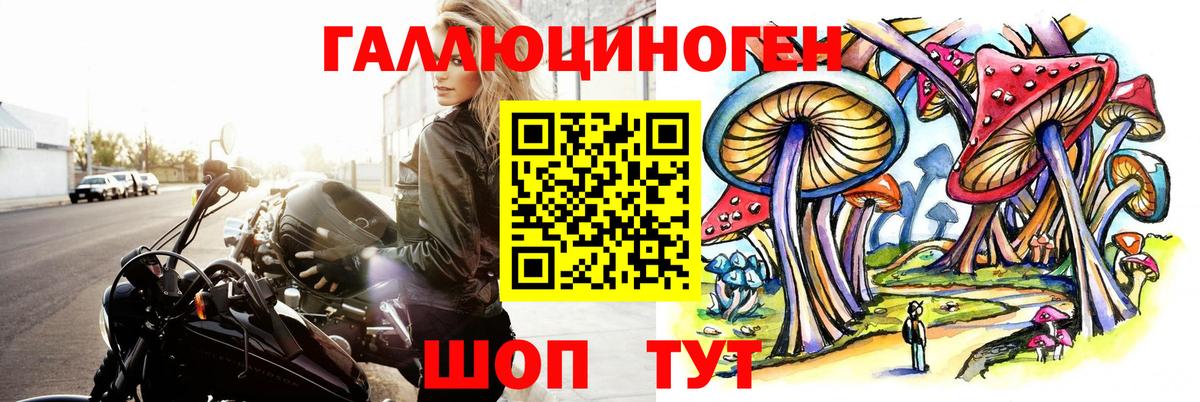 Псилоцибиновые грибы GOLDEN TEACHER Гулькевичи